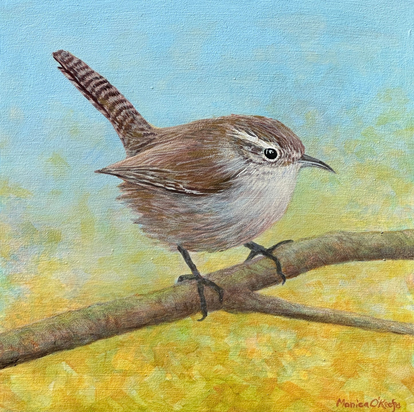 "Bewicks Wren Takes A Pause" by Monica O'Keefe. 8"x8". Acrylic on panel. Framed.